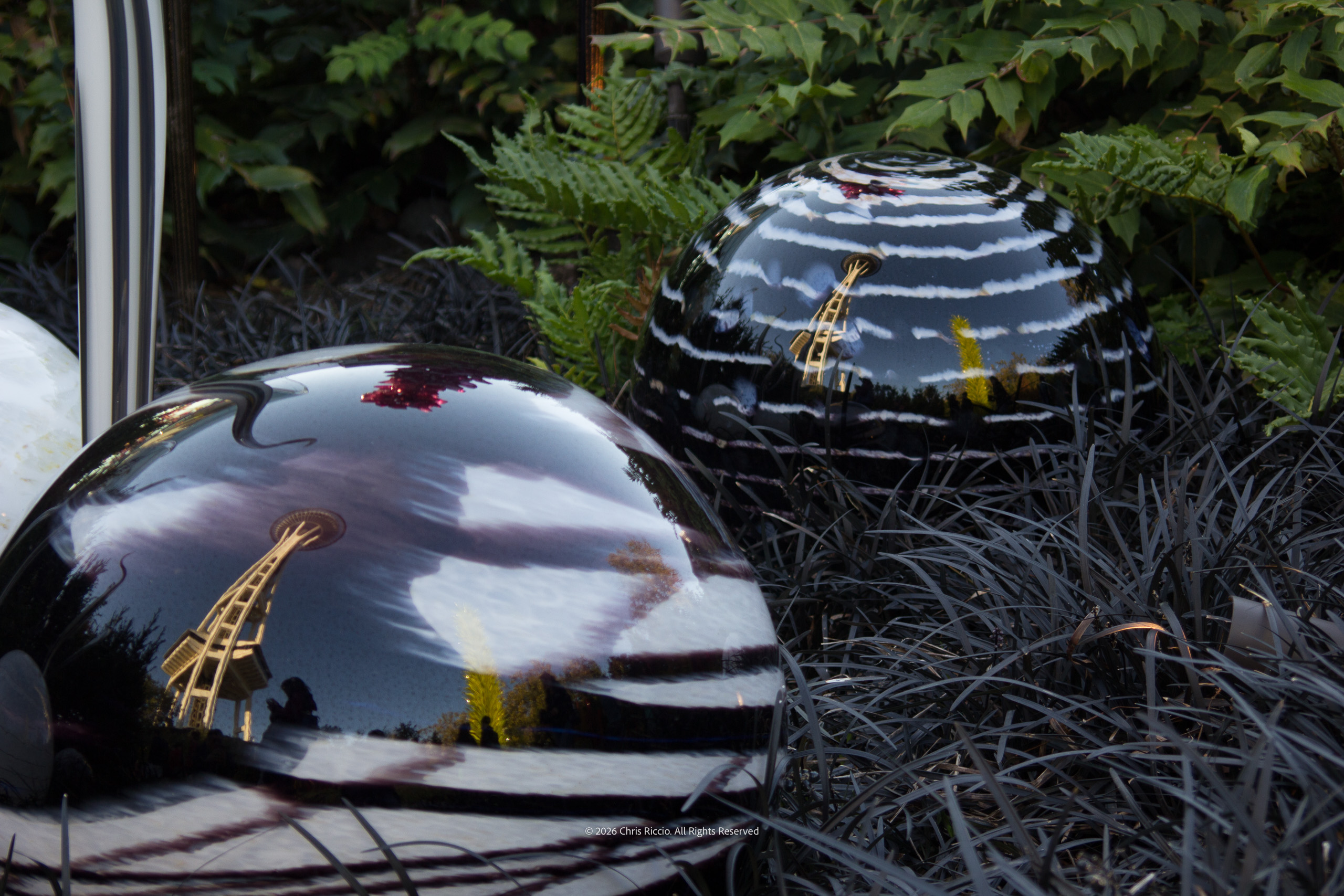 Space Needle Reflected in Glass at Chihuly Garden and Glass